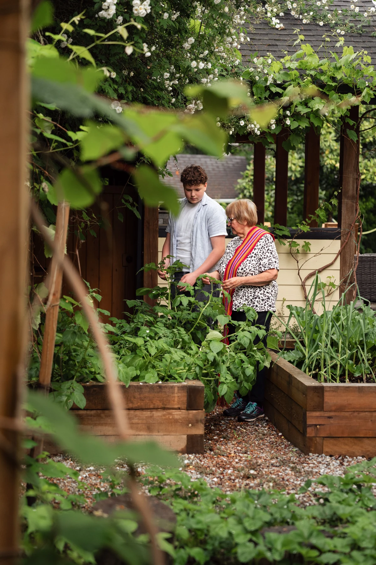 Two people tending planted wooden raised beds beside a gravel garden path