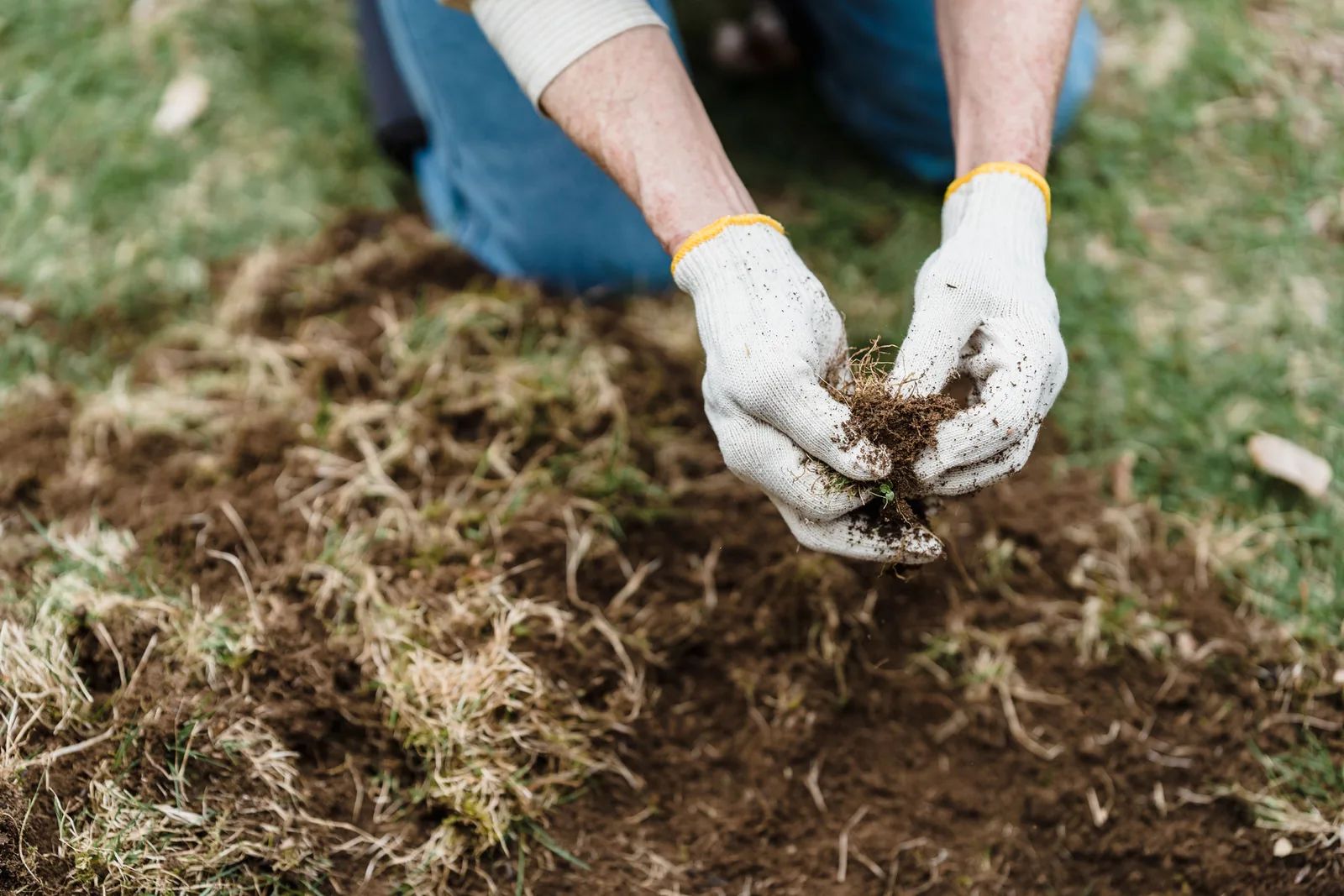 Hands lifting and checking soil in a garden bed
