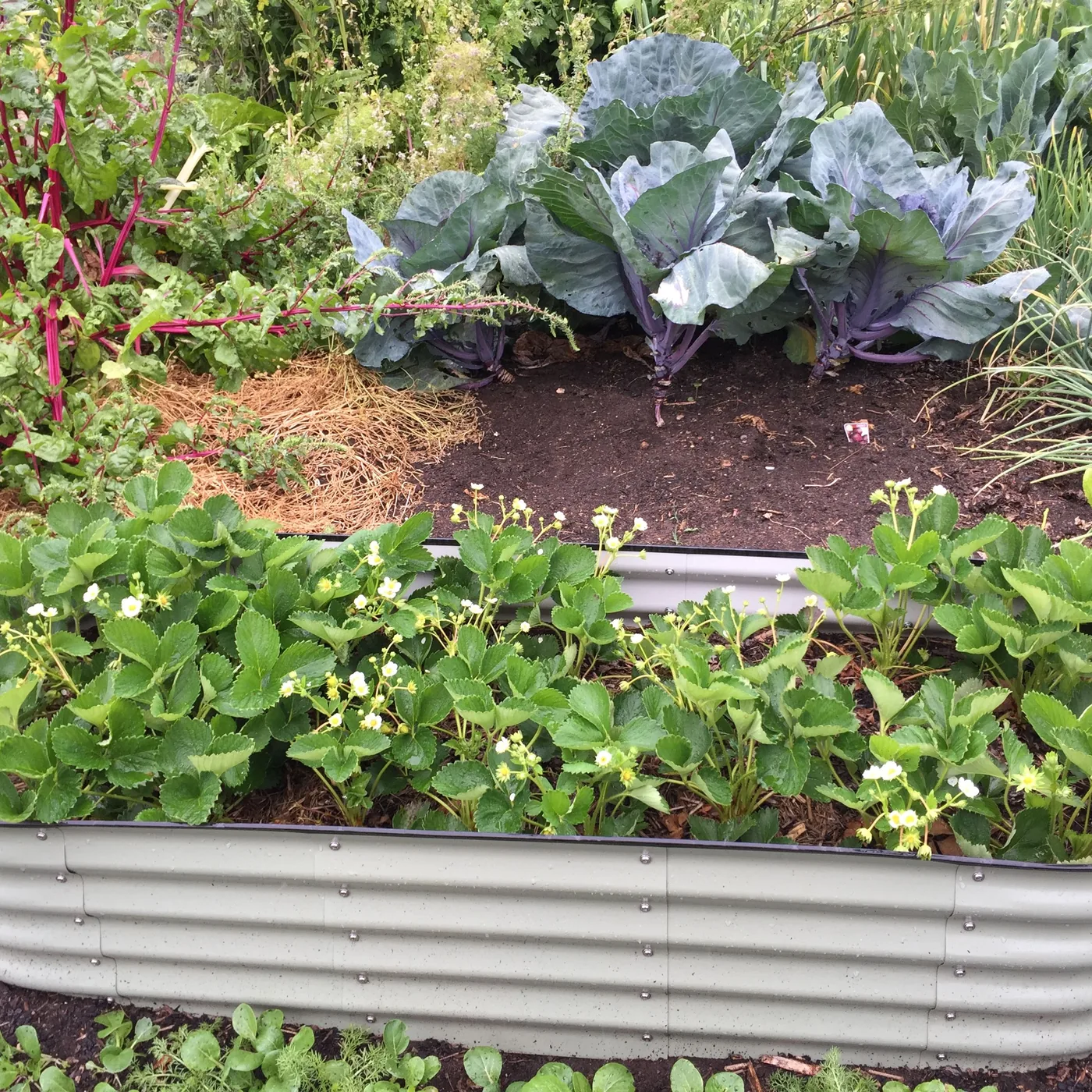 Close view of a corrugated metal raised bed corner and fasteners